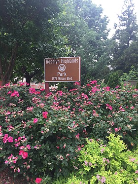 Photo detail
