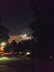 photo thumbnail