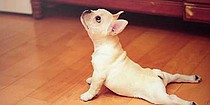 photo thumbnail