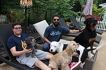 photo thumbnail