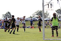 photo thumbnail