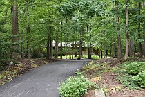 photo thumbnail