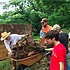 photo thumbnail