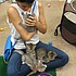 photo thumbnail