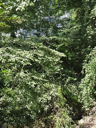 Photo detail