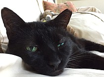 photo thumbnail