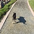 photo thumbnail
