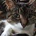 photo thumbnail