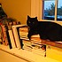 photo thumbnail