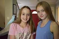 photo thumbnail