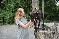photo thumbnail
