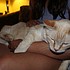 photo thumbnail