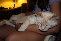 photo thumbnail