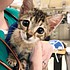 photo thumbnail