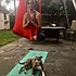 photo thumbnail