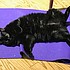 photo thumbnail