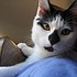 photo thumbnail