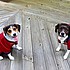 photo thumbnail