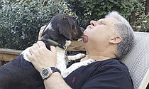 photo thumbnail