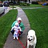 photo thumbnail