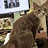 photo thumbnail