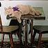 photo thumbnail
