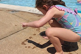 Photo detail