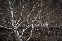 photo thumbnail