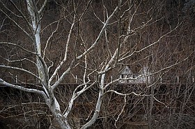 Photo detail