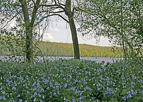 Photo detail