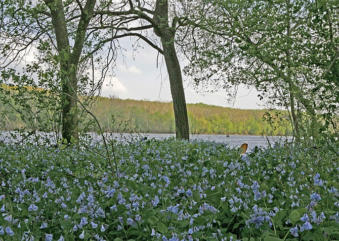 Photo detail