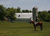 photo thumbnail