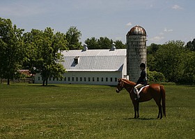 Photo detail
