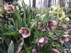Photo detail