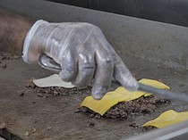 photo thumbnail