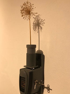 Photo detail
