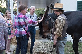 Photo detail