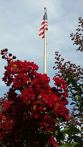 Photo detail