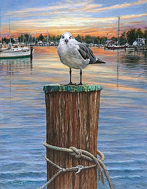 Photo detail