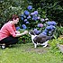 photo thumbnail