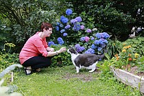 photo thumbnail