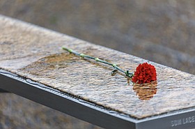 Photo detail