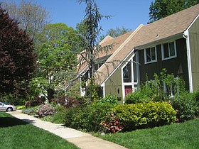 Photo detail