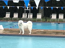 photo thumbnail