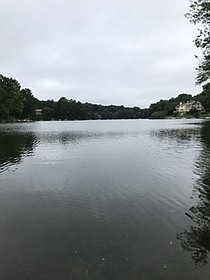 photo thumbnail