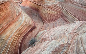 Photo detail