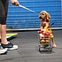 photo thumbnail