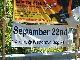Photo detail