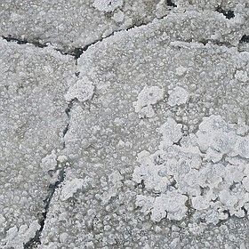 Photo detail