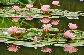 Photo detail
